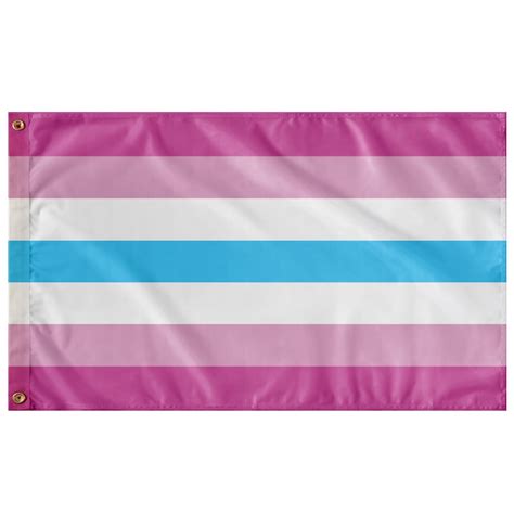 femboy flagge|I created one of the widely used femboy flag designs。